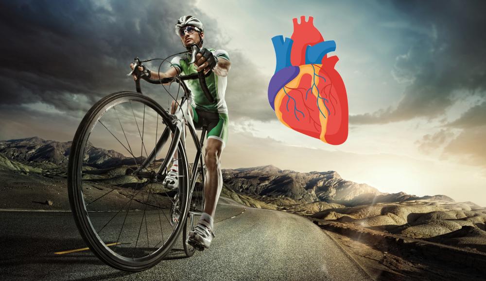 Anzeichen für Herzprobleme, die jeder Biker kennen sollte
