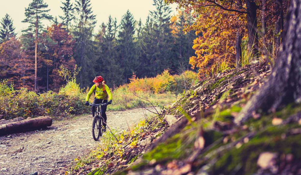 Aller Anfang ist ... leicht: 4 Mountainbike-Tipps für Einsteiger