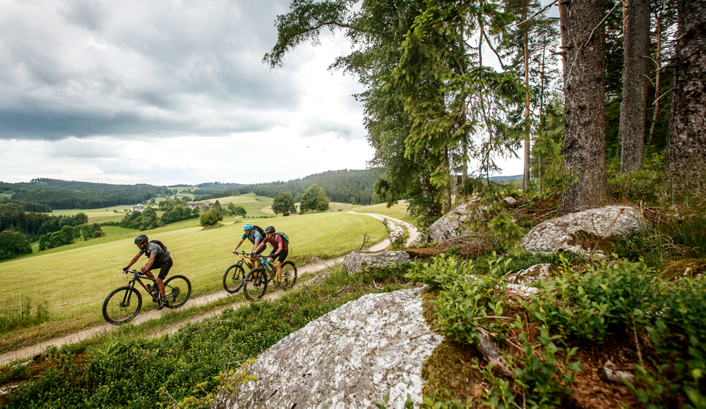 Unterwegs in Niederösterreich: Wienerwald, Wexl, Alpen und viel Granit für Biker