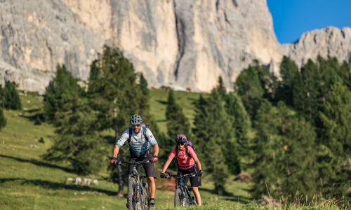© Tourismusregion / Eggental Tourismus / Jens Voegele / Die „König Laurin Trail Tour“ im Südtiroler Eggental ist ideal für Biker, die gerne Höhenmeter bewältigen. Top 20 (E-)MTB-Touren 2026