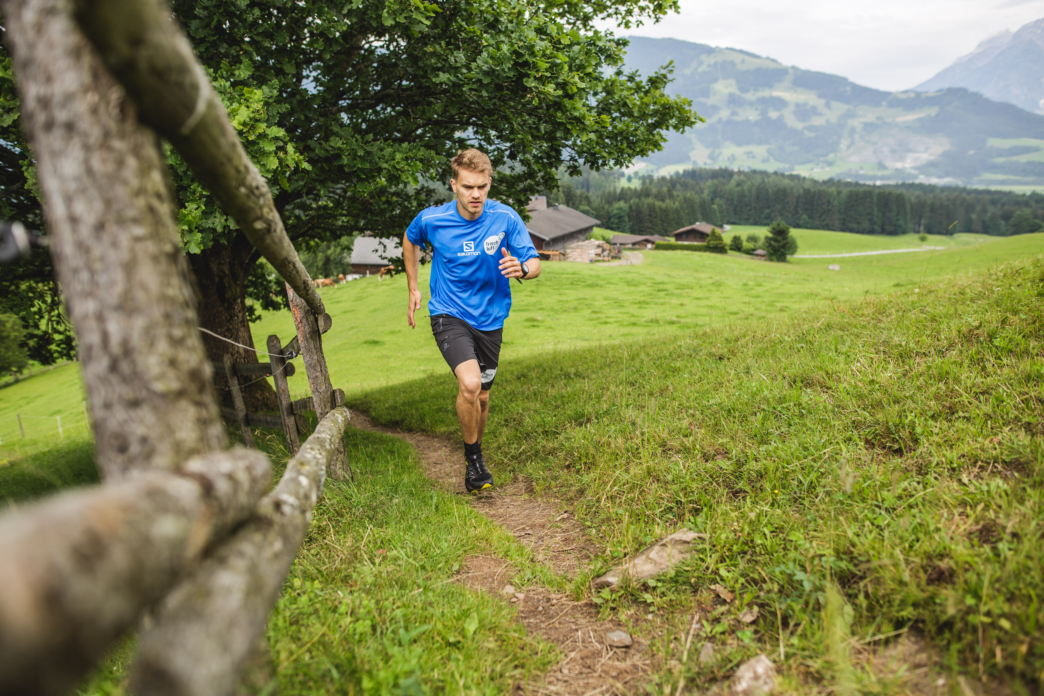 Trailrunning Trainingscamp Thumbnail
