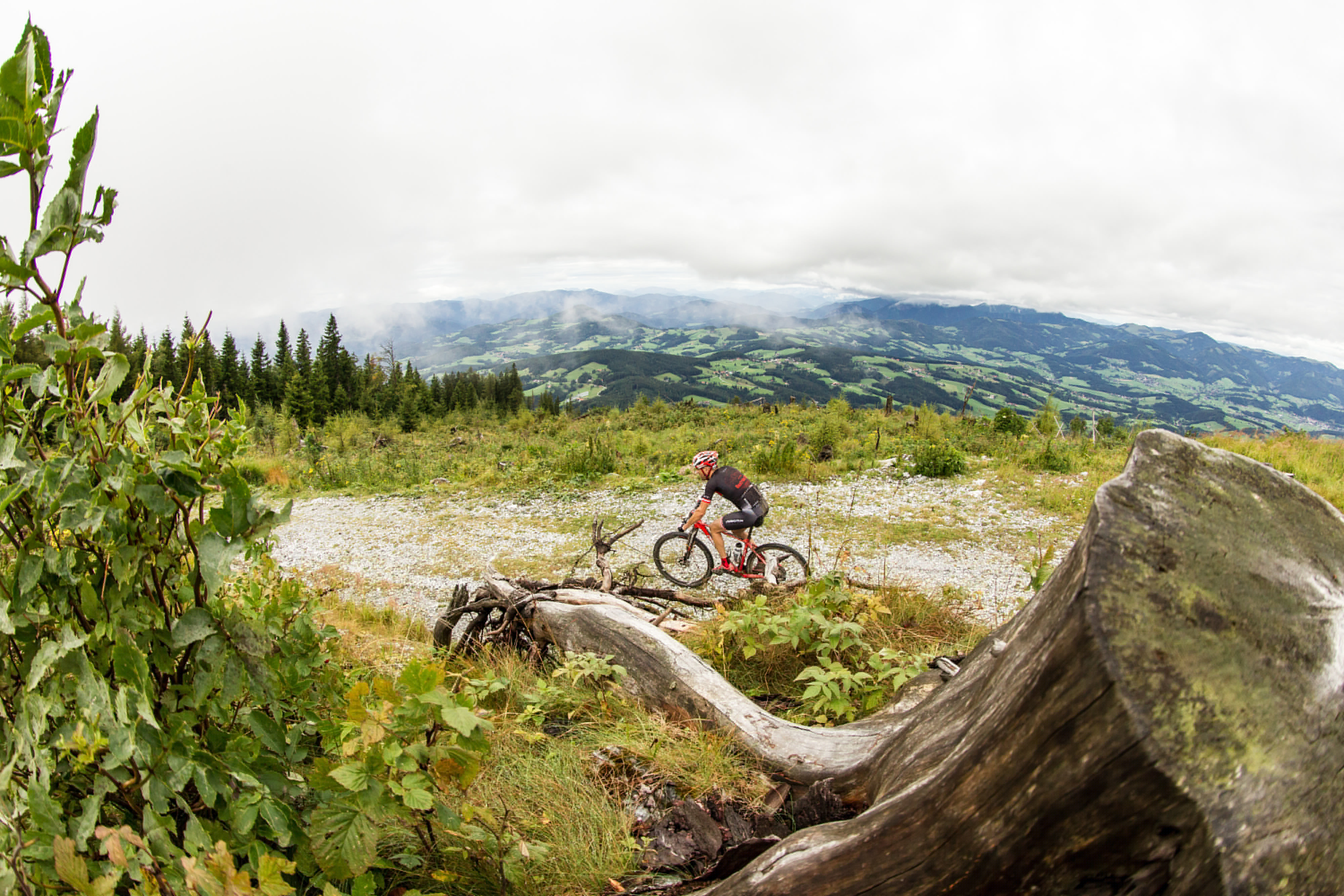 bikeCULTure Thumbnail