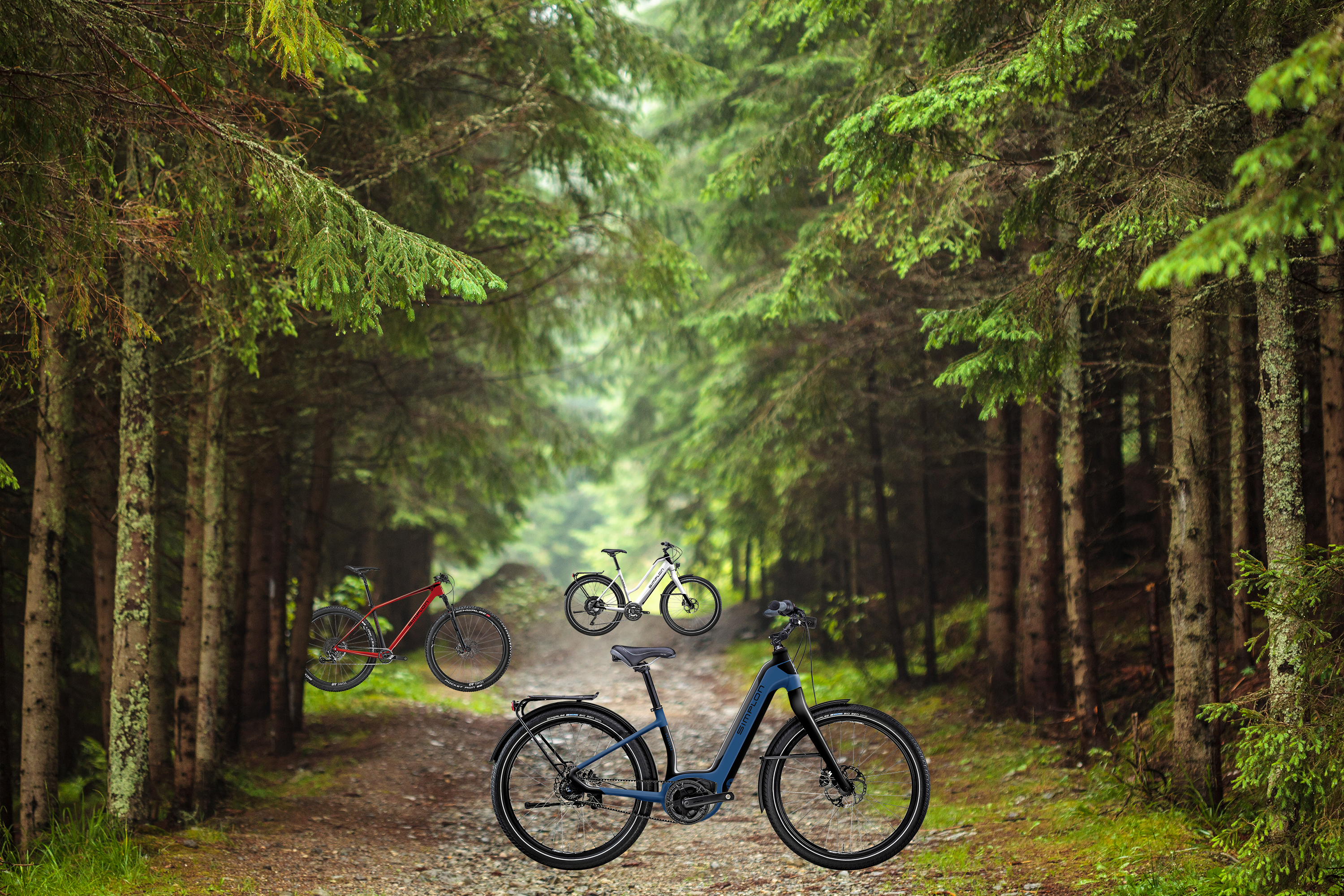 Simplon Highlights 2019: Razorblade 29, Kagu Uni Bosch & Kagu Neodrives Thumbnail