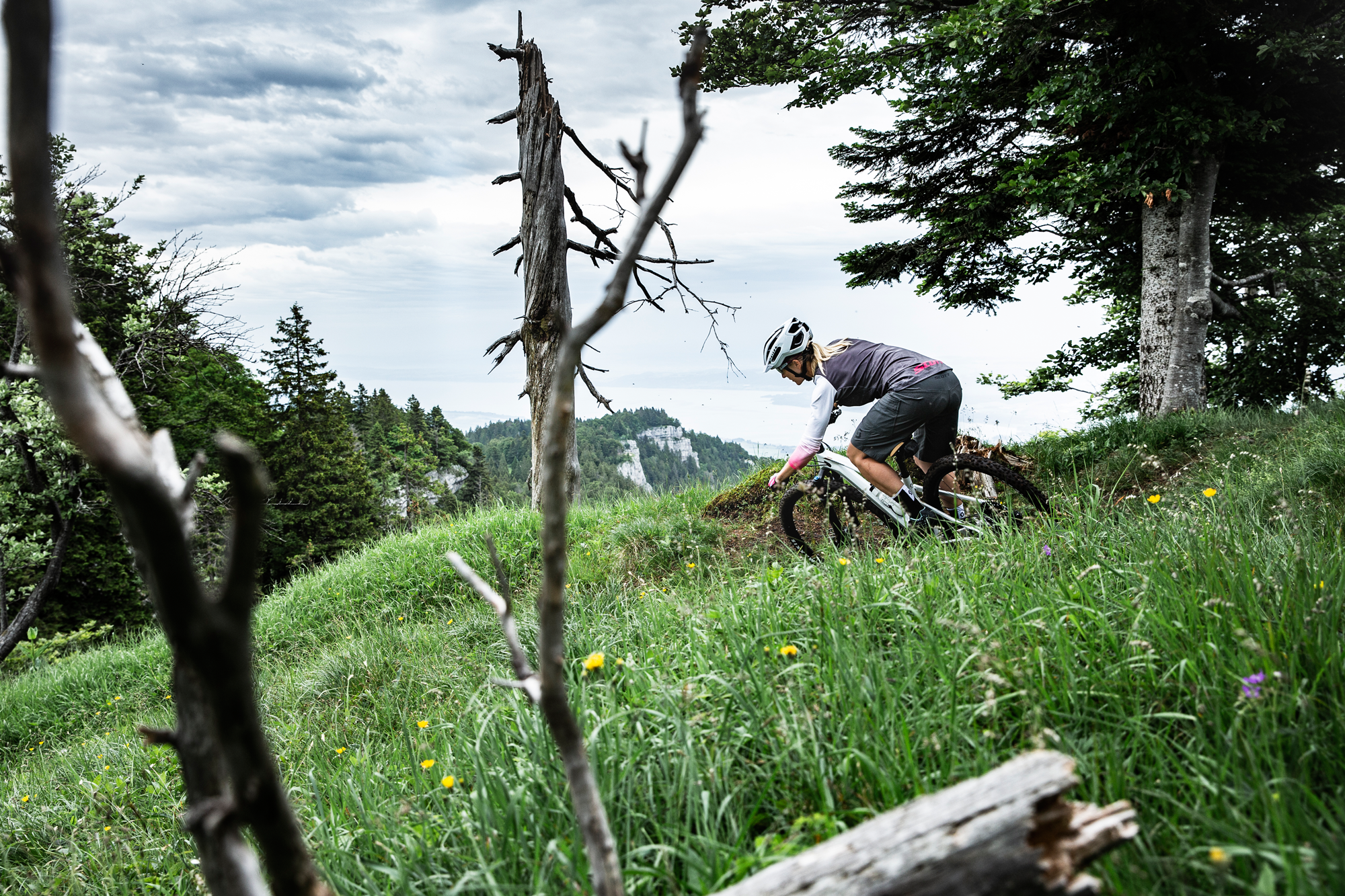 Scott: Diese Bike-Highlights solltest du 2019 nicht verpassen Thumbnail