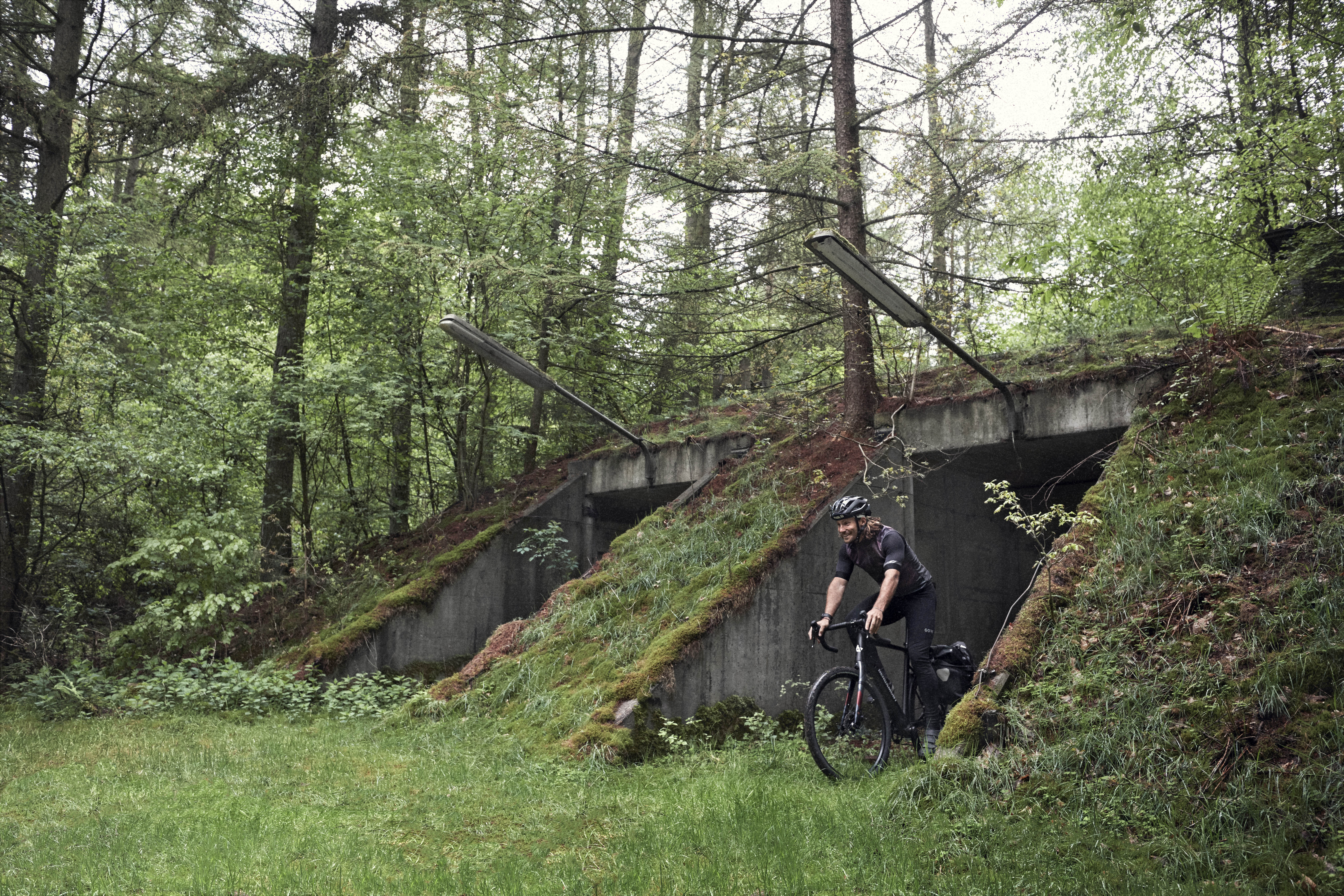 Bergamont: Die E-Bike-Highlights 2020