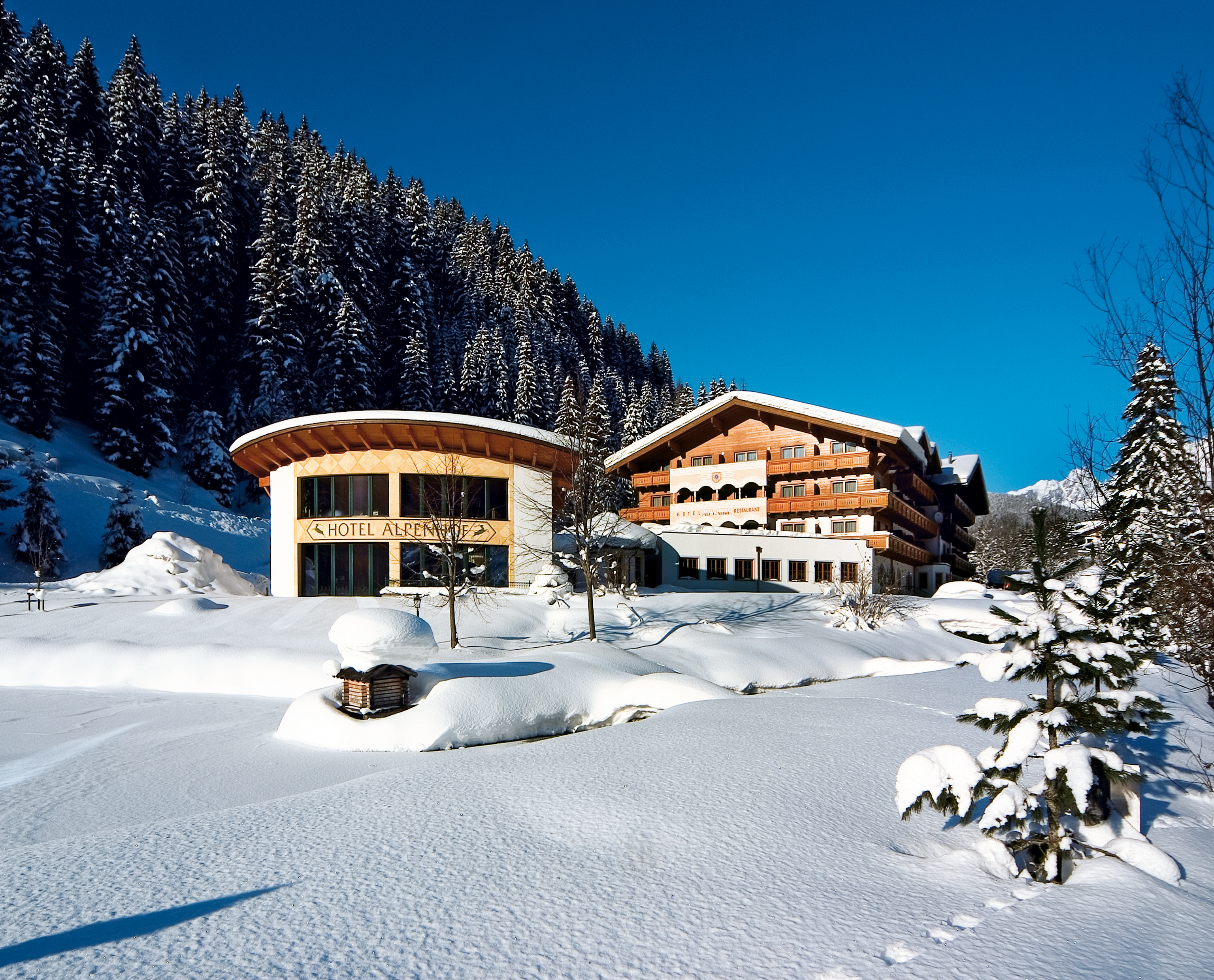 Alpenhof in Filzmoos