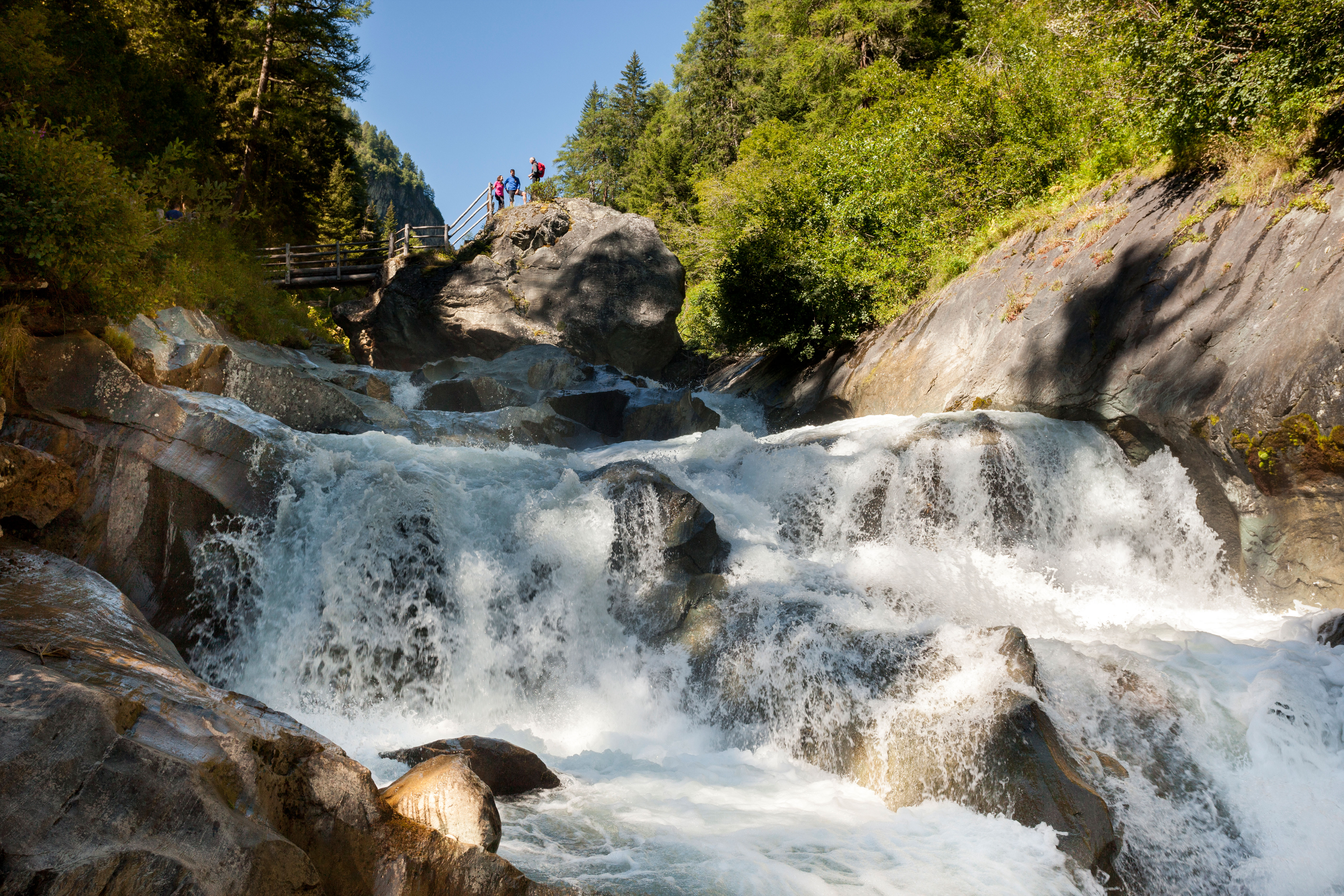 Wandercamp 1.0