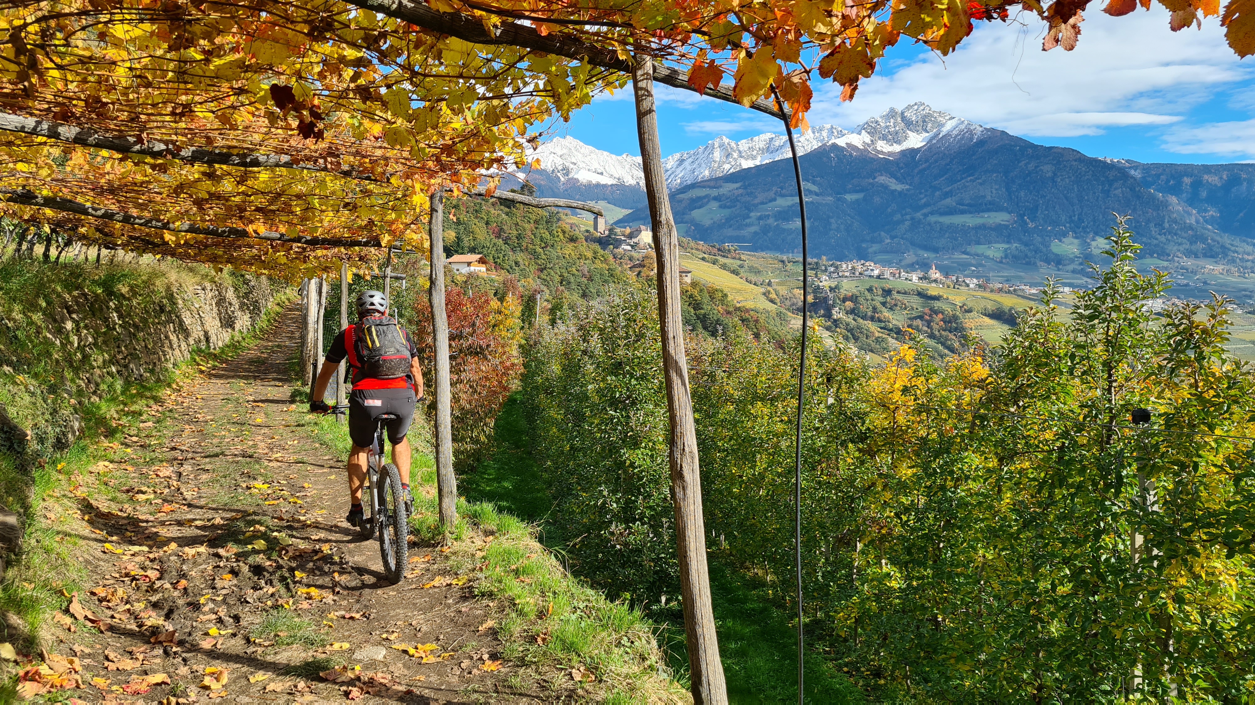 BIKEPRO: Traumjob Mountainbike Guide