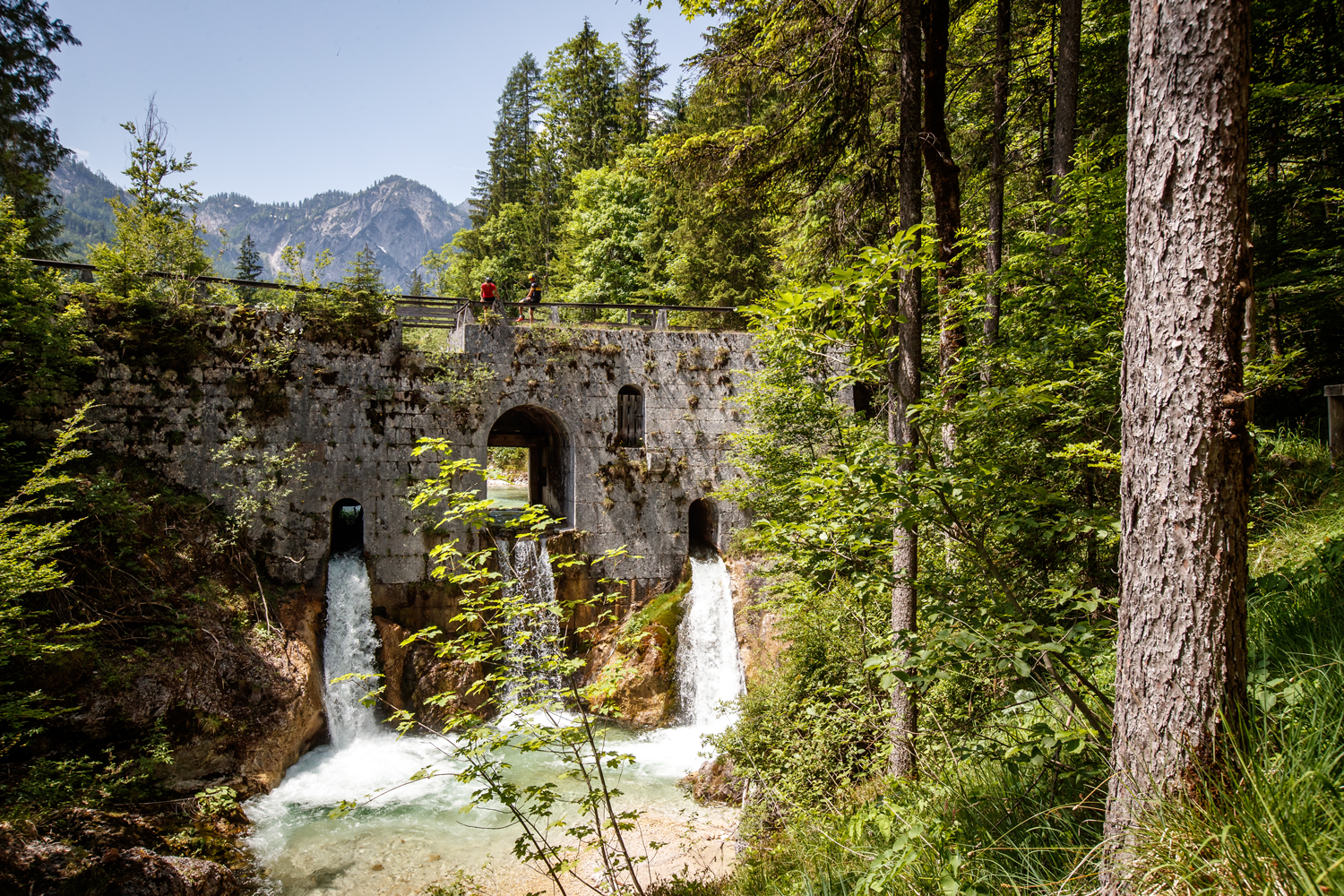 SPORTaktiv, Bosch eBike Systems und Focus Bikes laden zu E-Bike-Testtouren im Salzkammergut