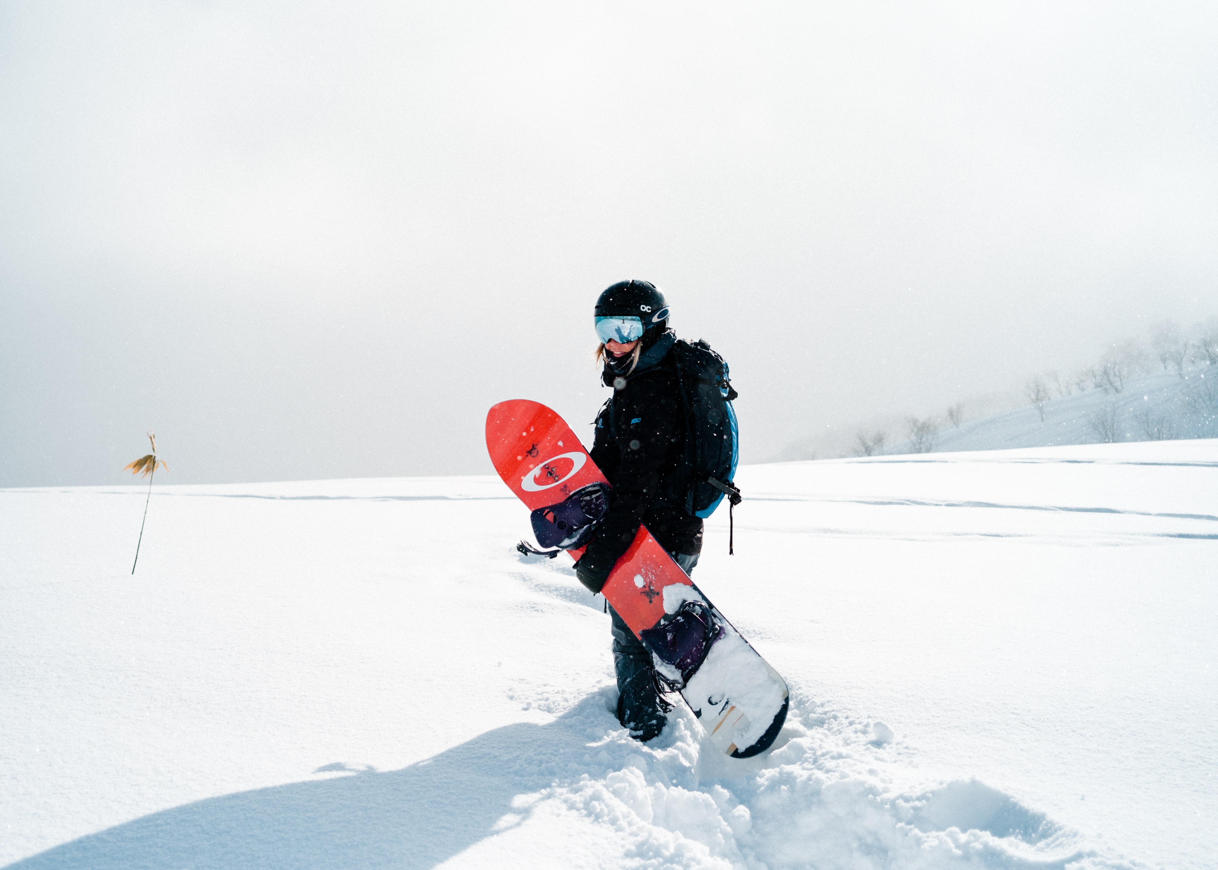 Warum Wetten auf das Snowboarden so spannend sein können