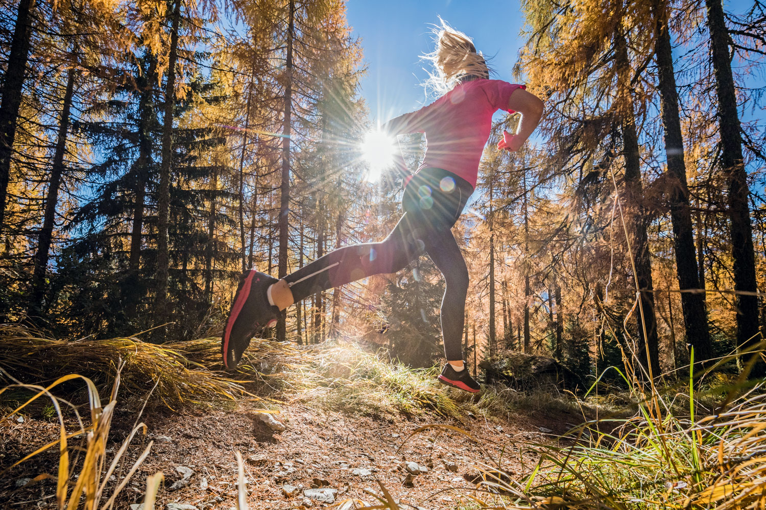 Fürs Grobe gebaut: diese Trailrunning-Schuhe erobern das Gelände
