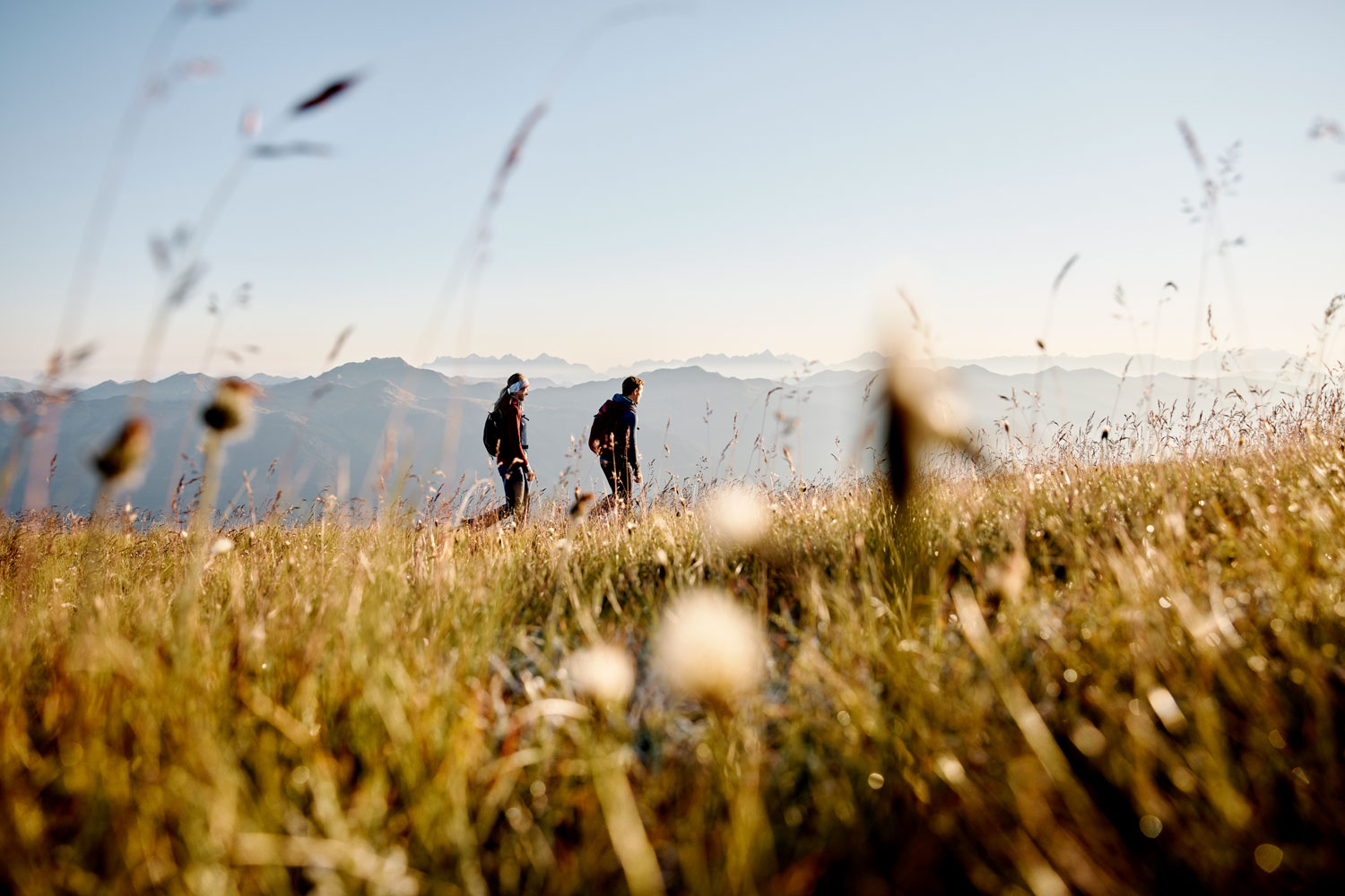 Wandern in Mittersill-Hollersbach-Stuhlfelden: Mit Blick auf den Nationalpark Hohe Tauern