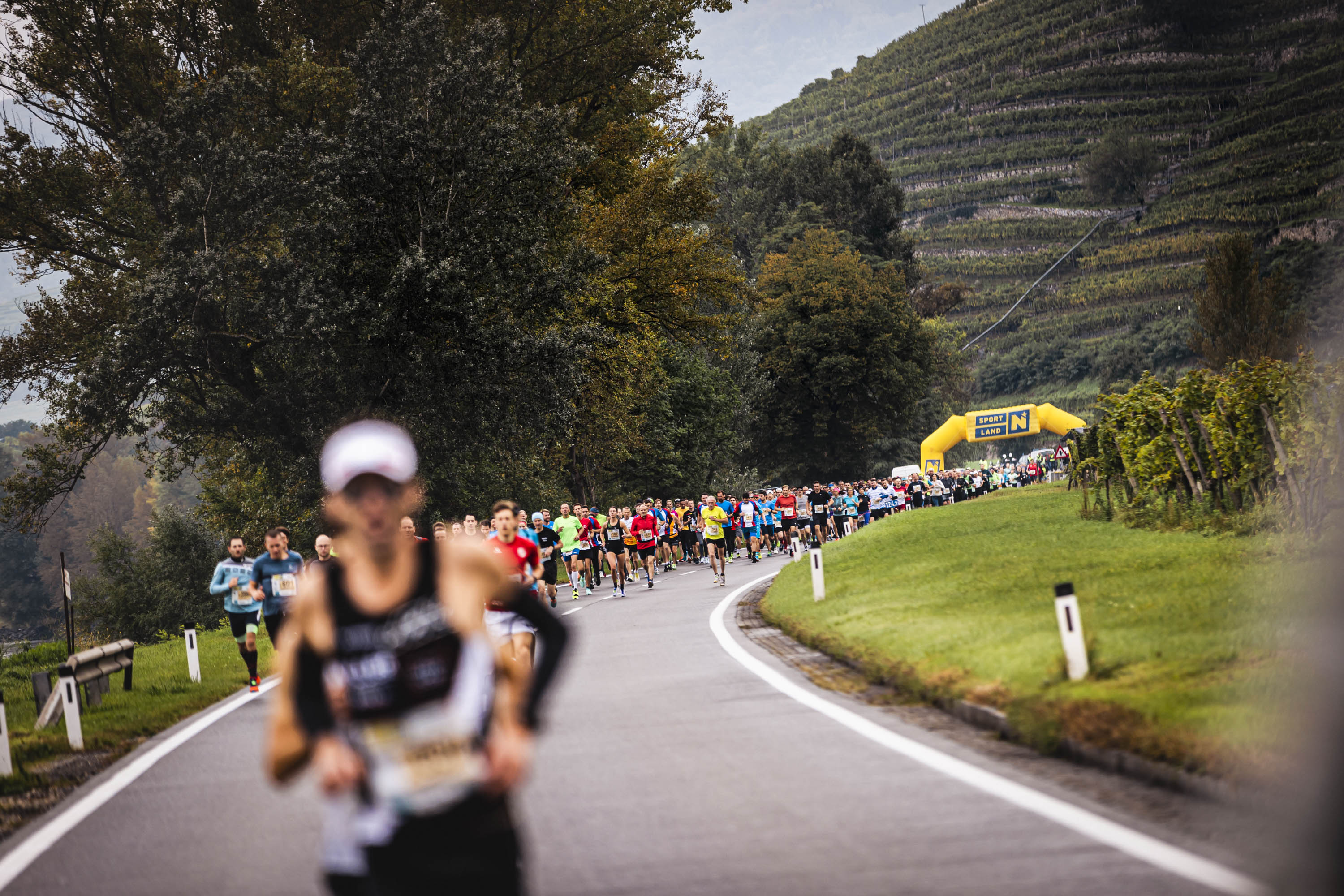 24. Internationaler WACHAUmarathon 2023