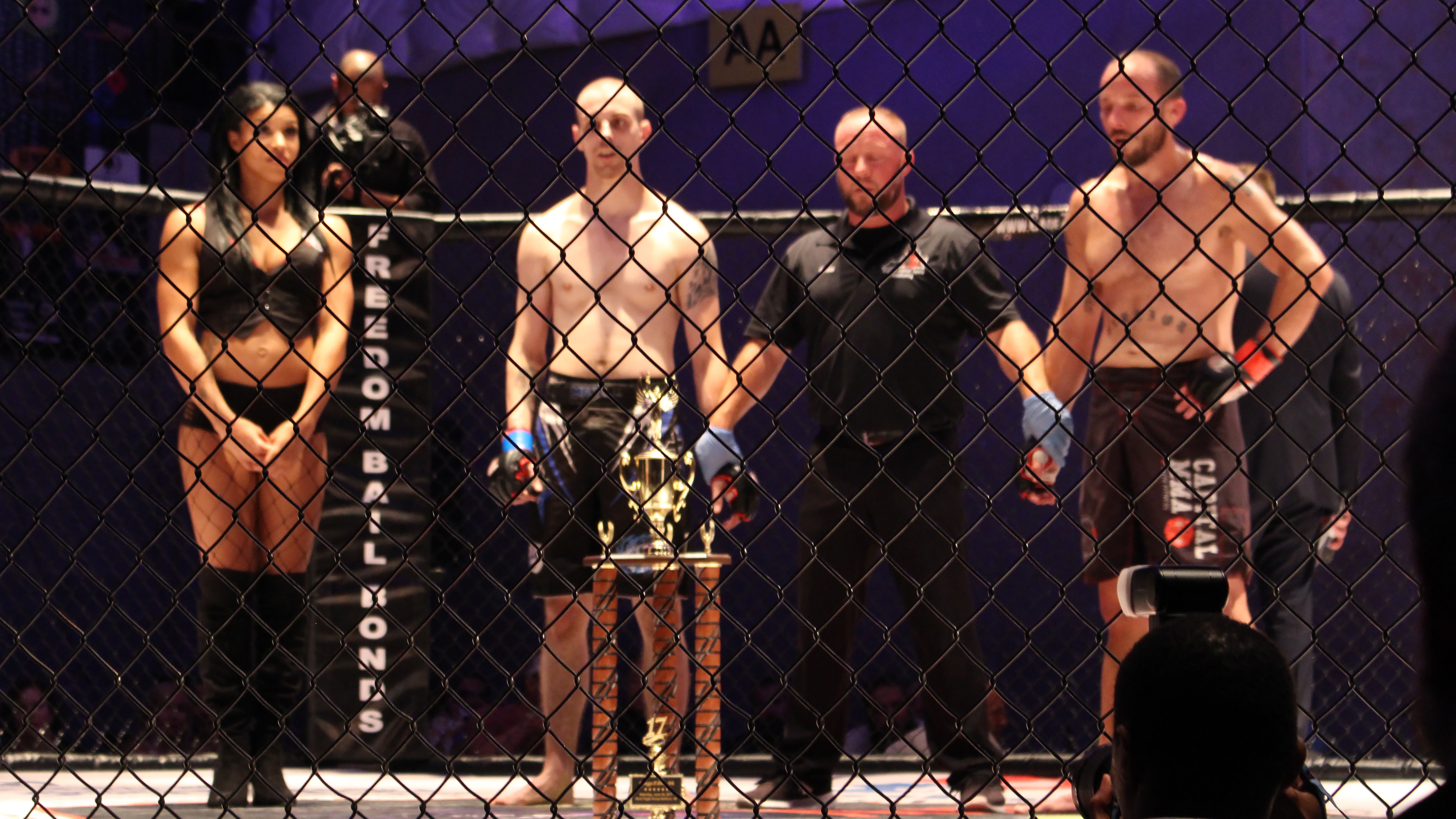 Mixed Martial Arts - Der Hype um den Profisport