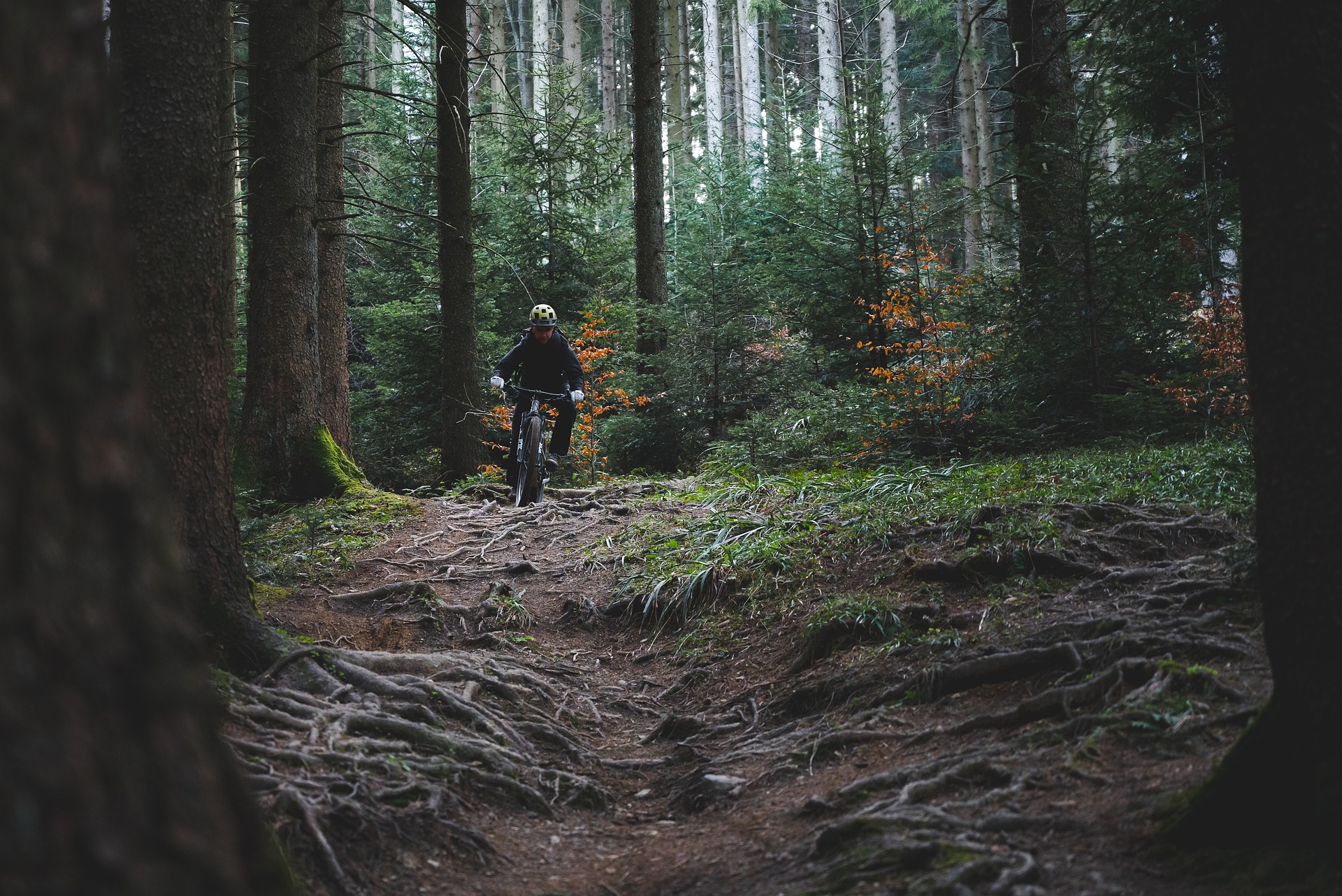 Rennrad, Gravelbike und Mountainbike: Welches Rad eignet sich für welchen Zweck?
