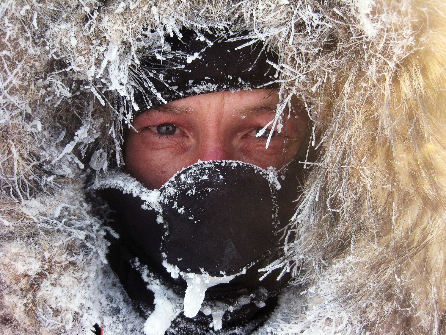 Sebastian Copeland
