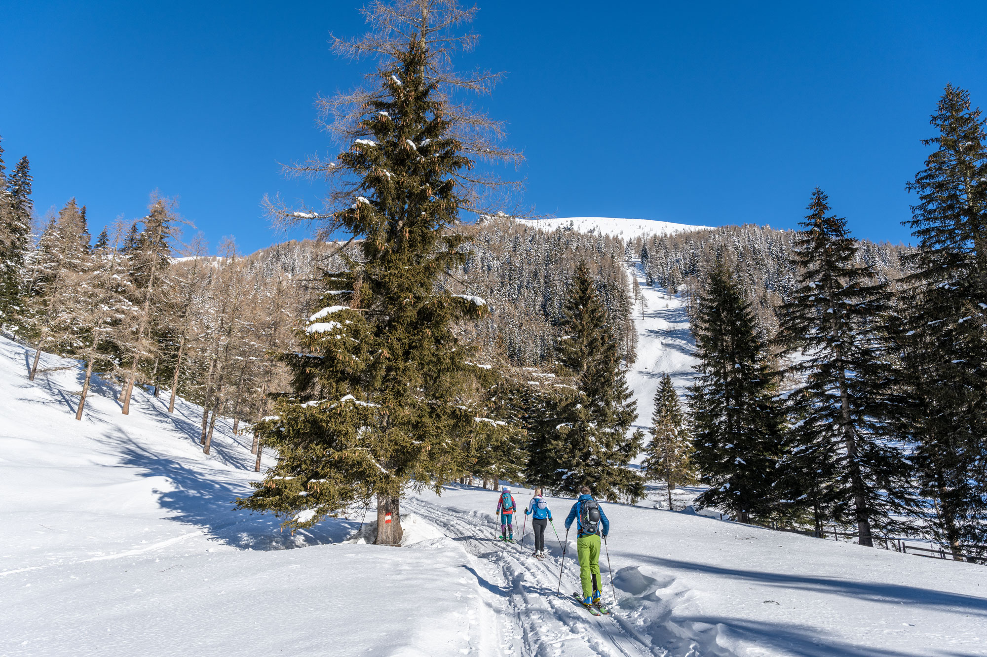Top 20 Firntouren