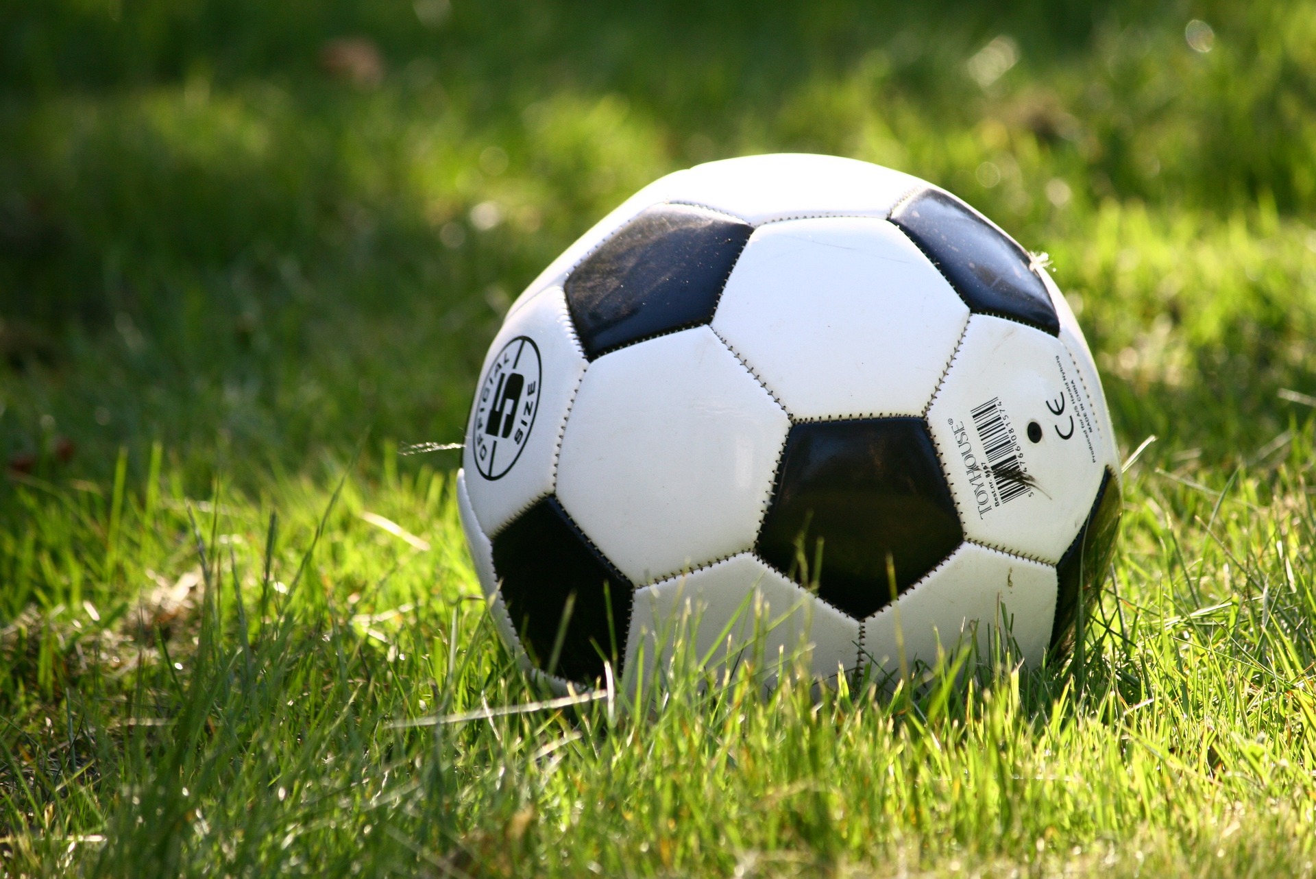 Von Tradition bis Moderne: Die vielseitige Geschichte des Göppinger Sportvereins