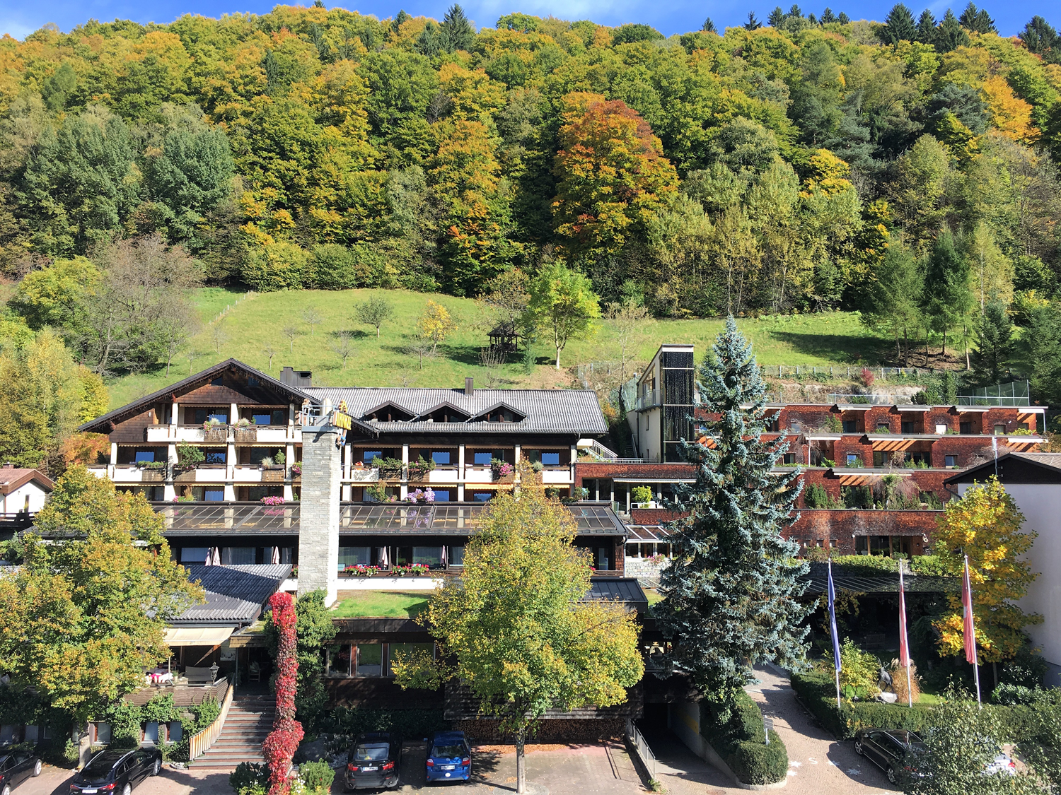 alpenrose_hotelc_domenico_cini.png