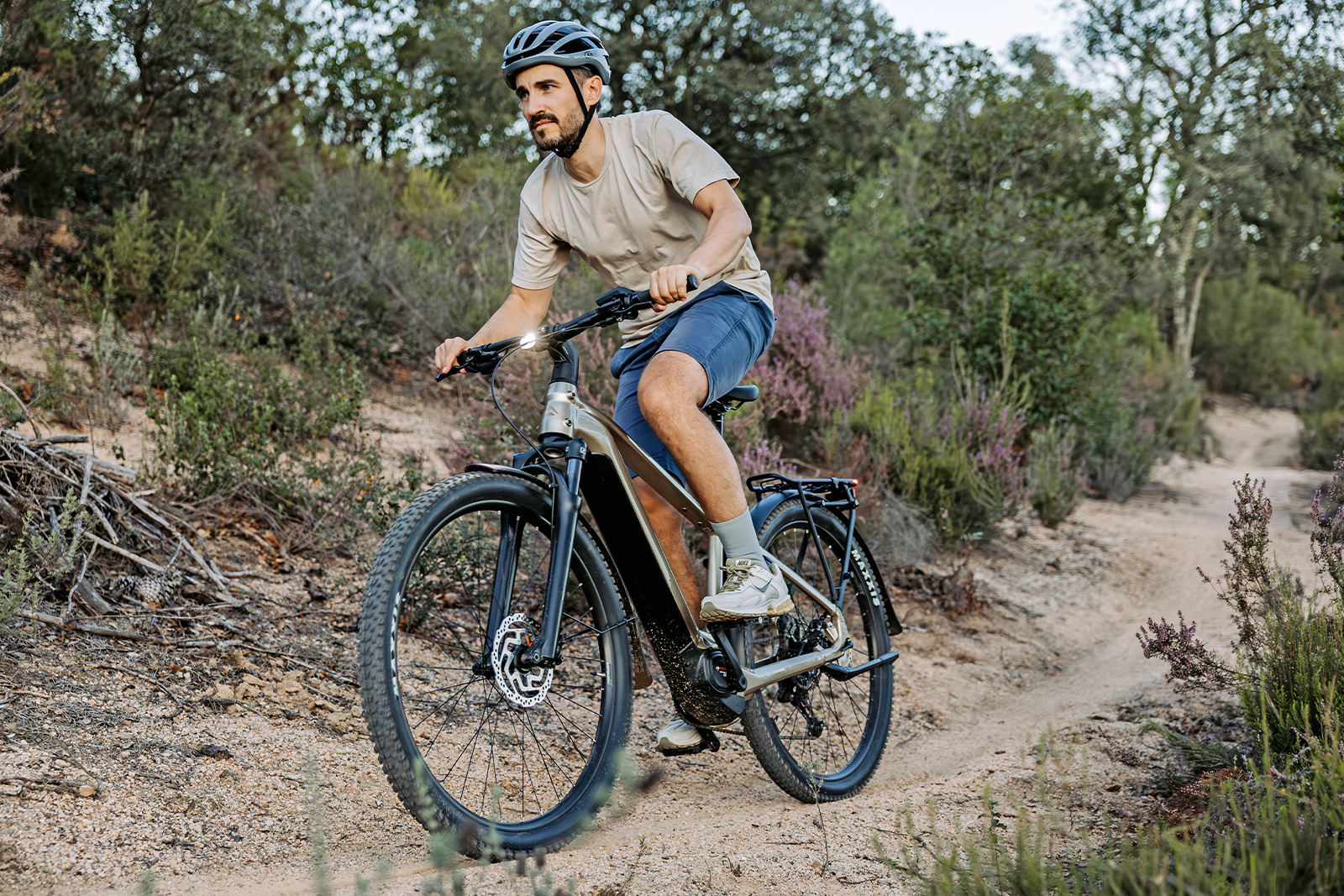 das-bike-chamaeleon_2.png