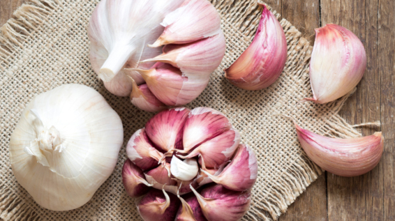 Ernährung für ein starkes Immunsystem: Knoblauch / Bild: iStock