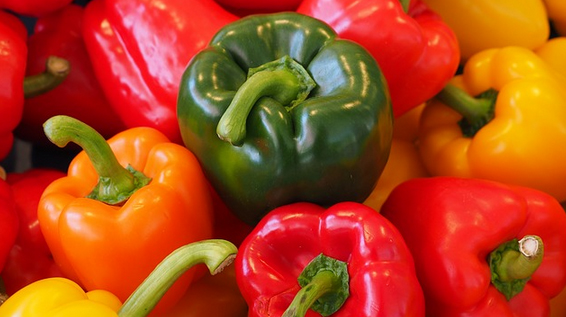 Gesunde Ernährung: Paprika ist ein hervorragender Lieferant für Vitamin C. / Bild: KK