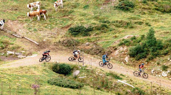 MTB-Region Bad Kleinkirchheim: Almrausch mit Nocken / Bild: BRM Mathias Praegant / Bad Kleinkirchheim