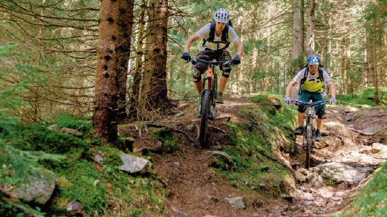 MTB-Region Bad Kleinkirchheim: Almrausch mit Nocken / Bild: BRM Mathias Praegant / Bad Kleinkirchheim