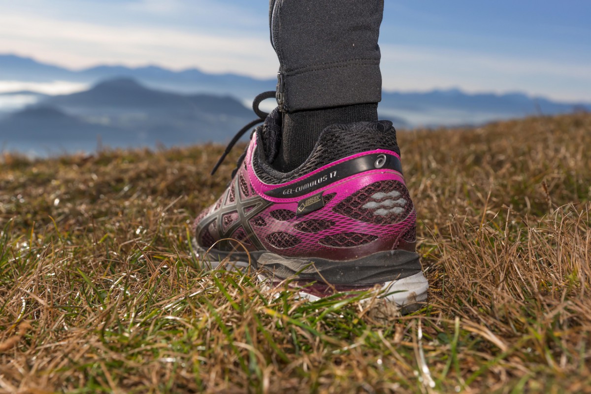 Laufschuh Asics Gel Cumulus 17 G-TX im Produkttest / Bild: Horst von Bohlen