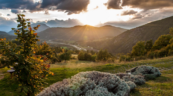 Mountainbiketour Provence / Bild: bikefex.at