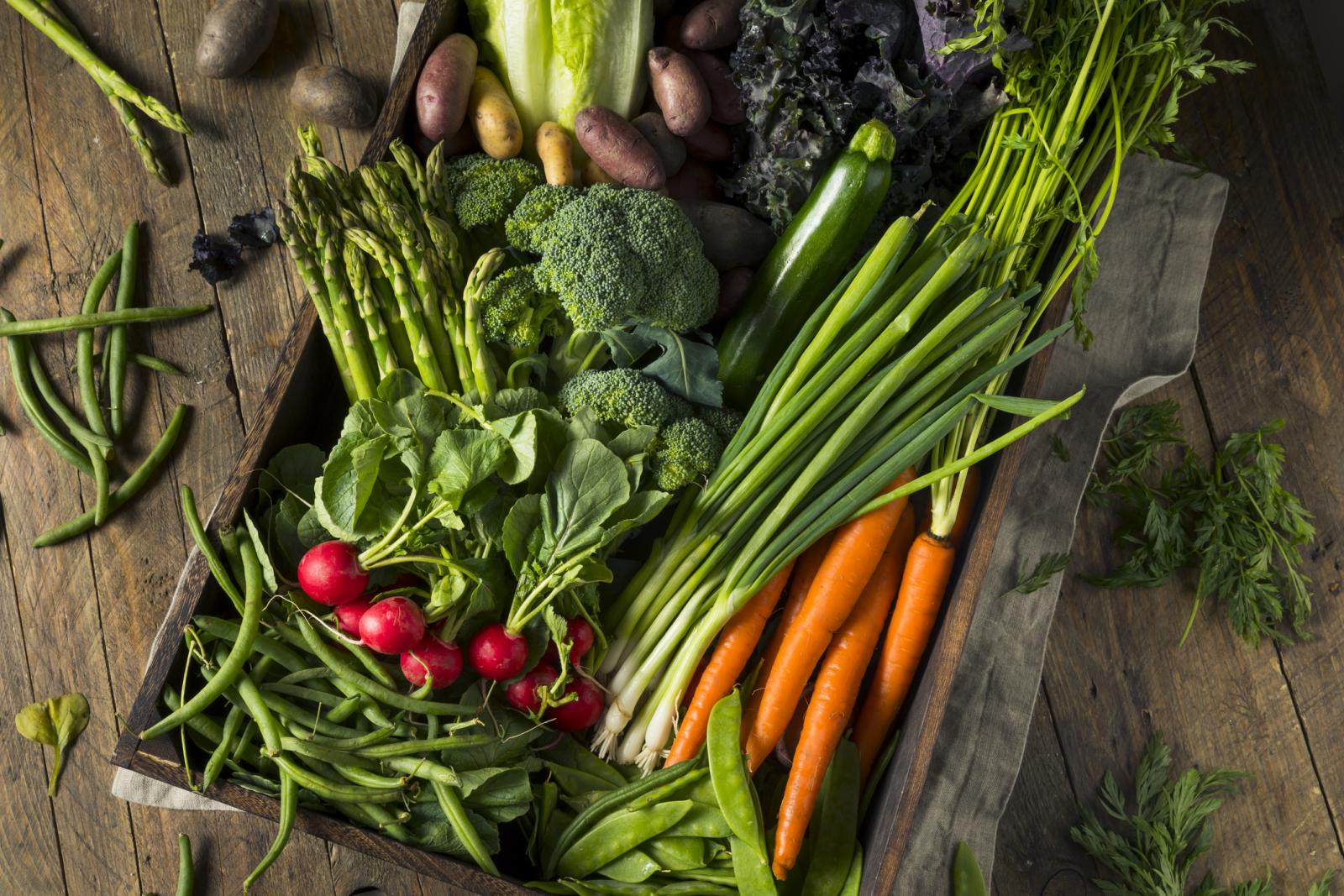 Fit Mit Obst Und Gemuse Rund Und G Sund Sportaktiv Com