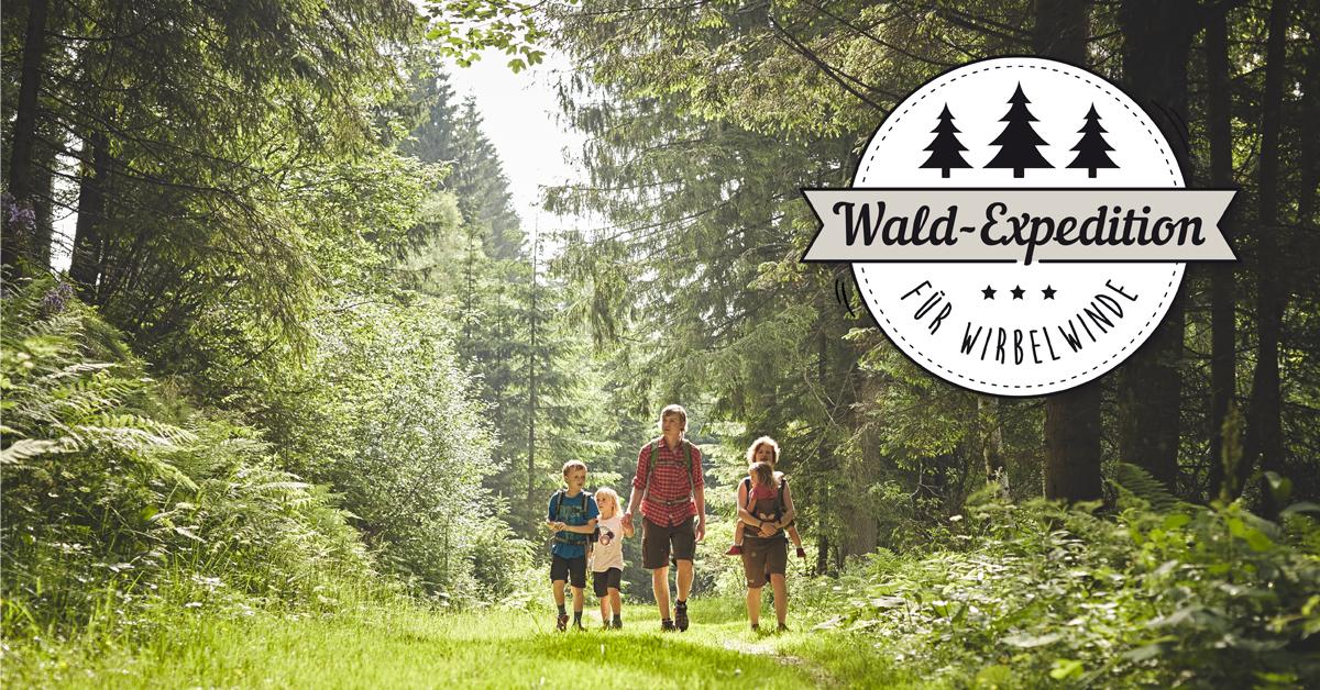 Werde zum Waldexperten – in Mönichkirchen am Wechsel!