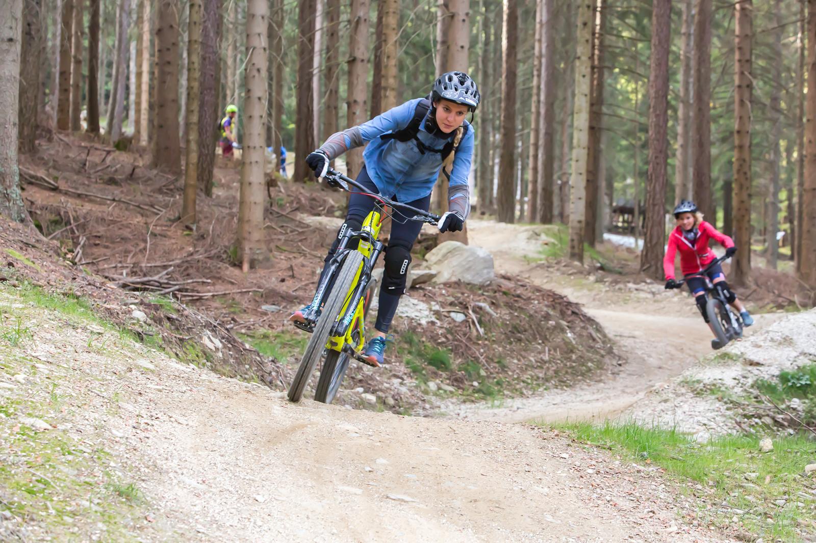 Wexl Trails 2019