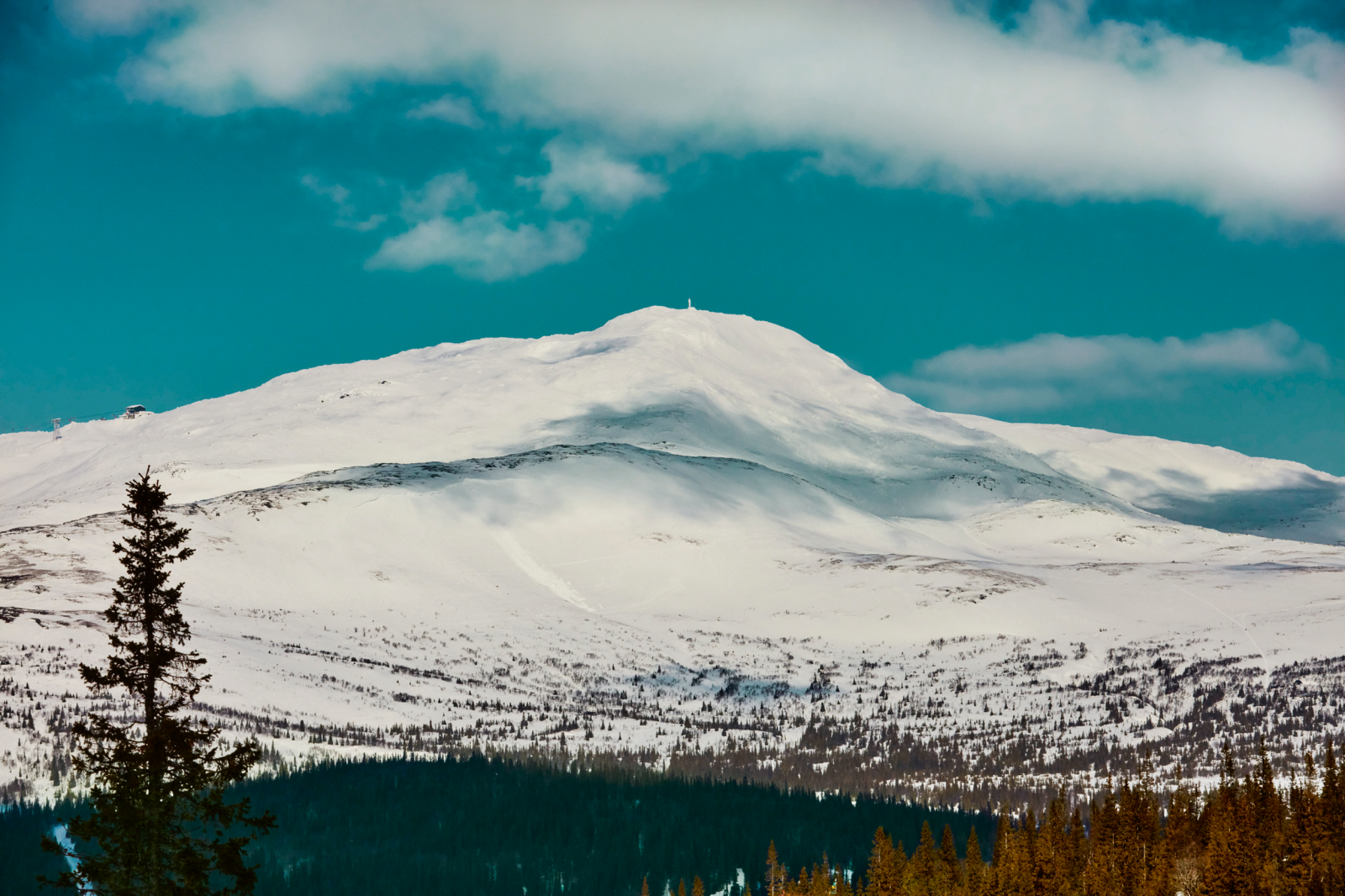 Lebe, was du liebst! Peak Performance lässt mit "Live More"-Kampagne aufhorchen