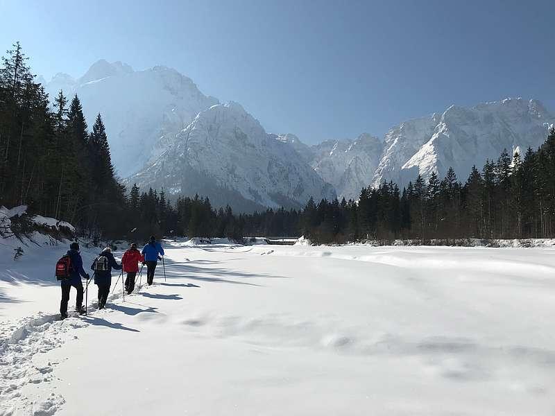 Schneeschuhcamp für Einsteiger im Karawankenhof