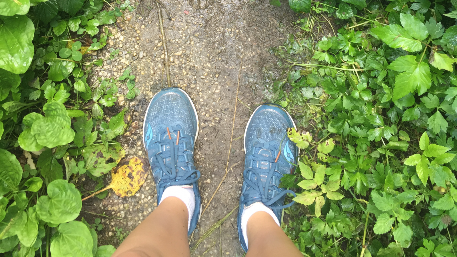 News für alle Läufer vom LCC Wien: Adi Gruber Frühlingsmarathon findet virtuell statt!