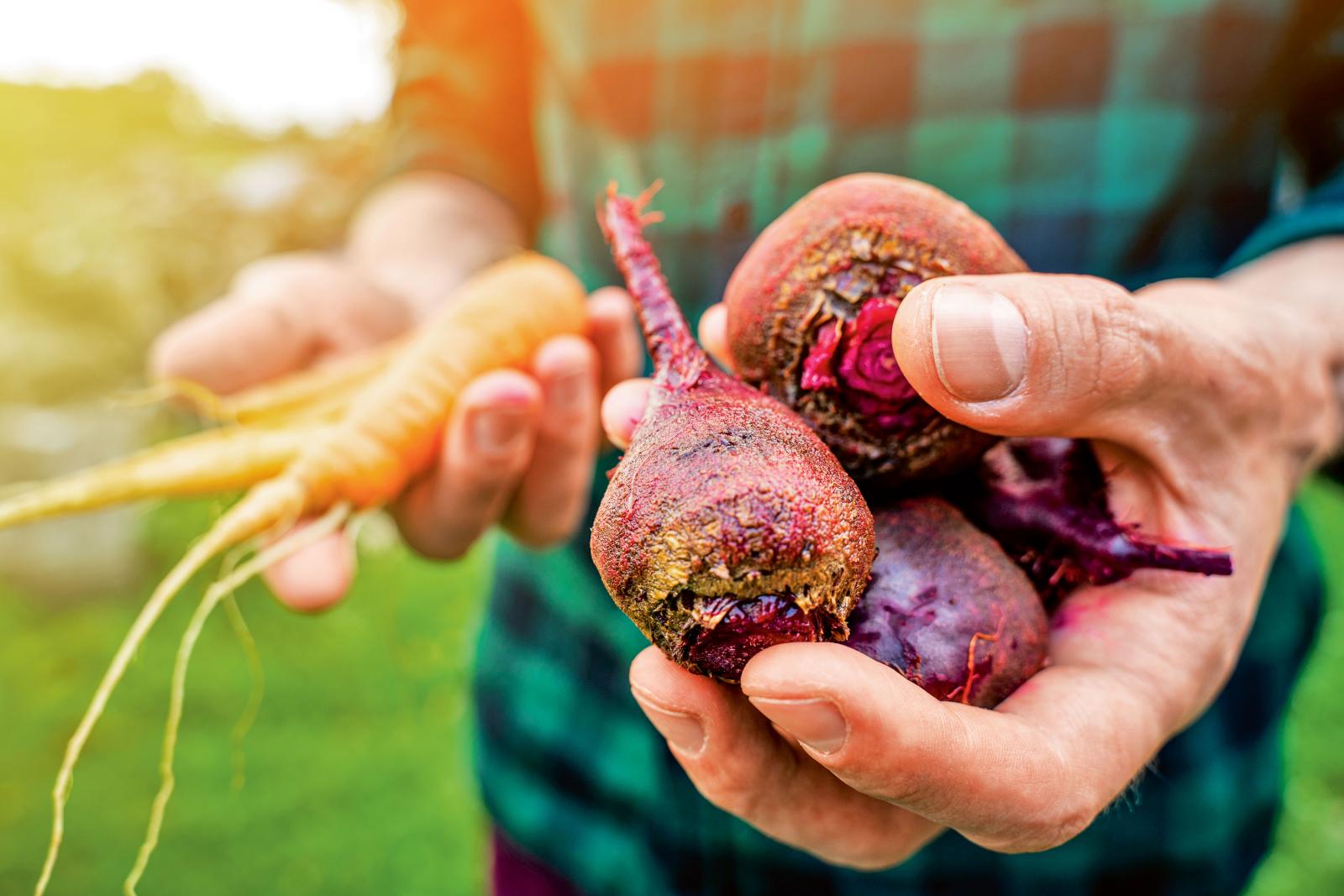 Superfoods: das Gute so nah