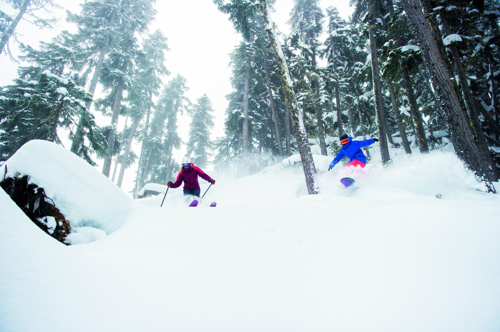 Natur pur: Es gibt sie noch - Skigebiete, die auf Naturschnee setzen