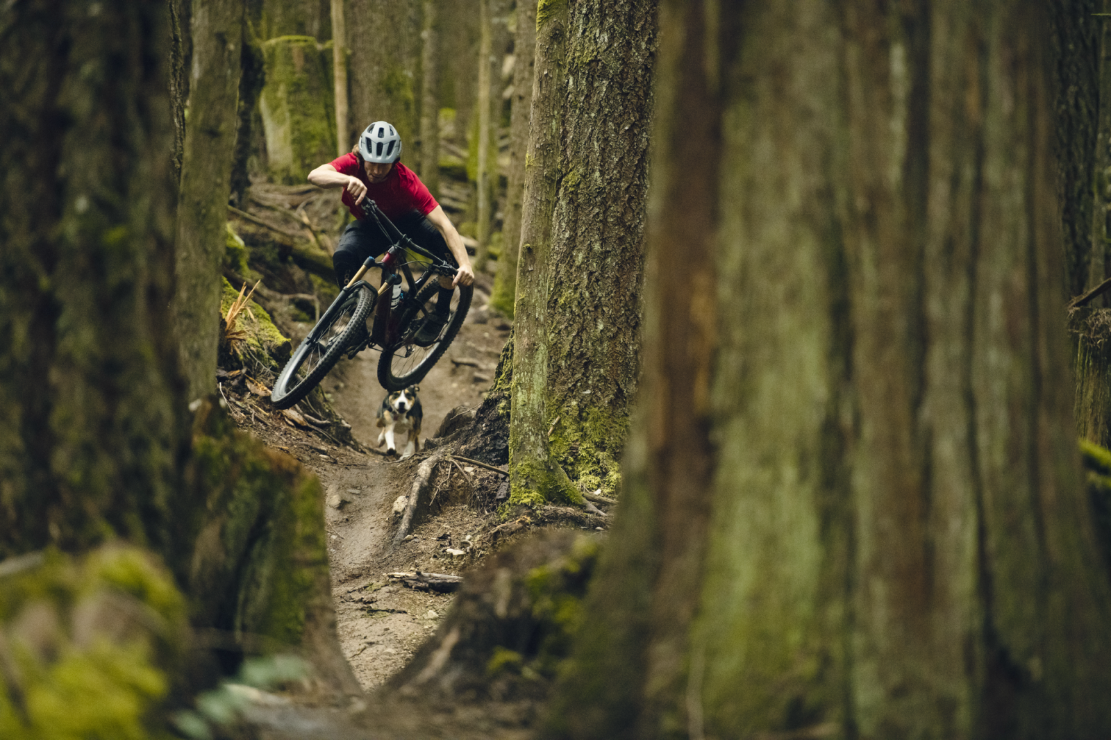 Wettlauf für das Hirn: besser geschützt bei Fahrrad-Stürzen