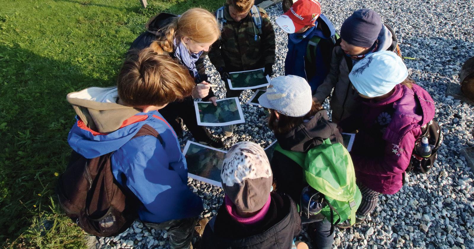 "Survival Training": Leben am Puls der Natur