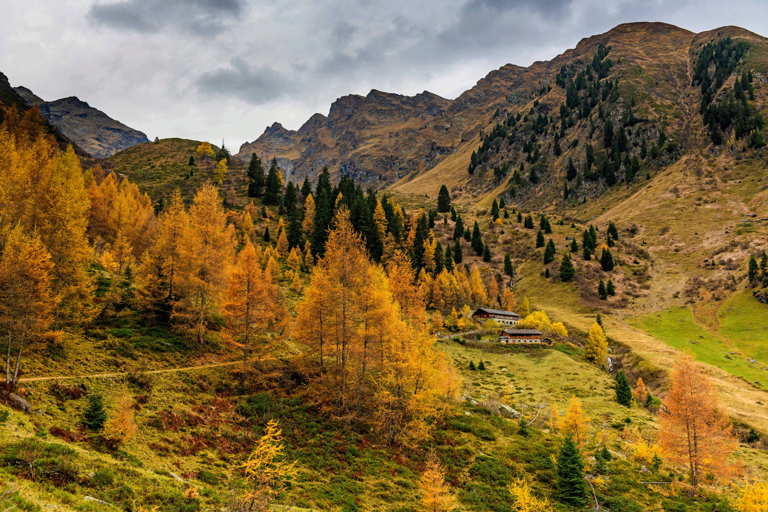Magischer Herbst: So schön kann das Wandern auch mitten im Herbst noch sein