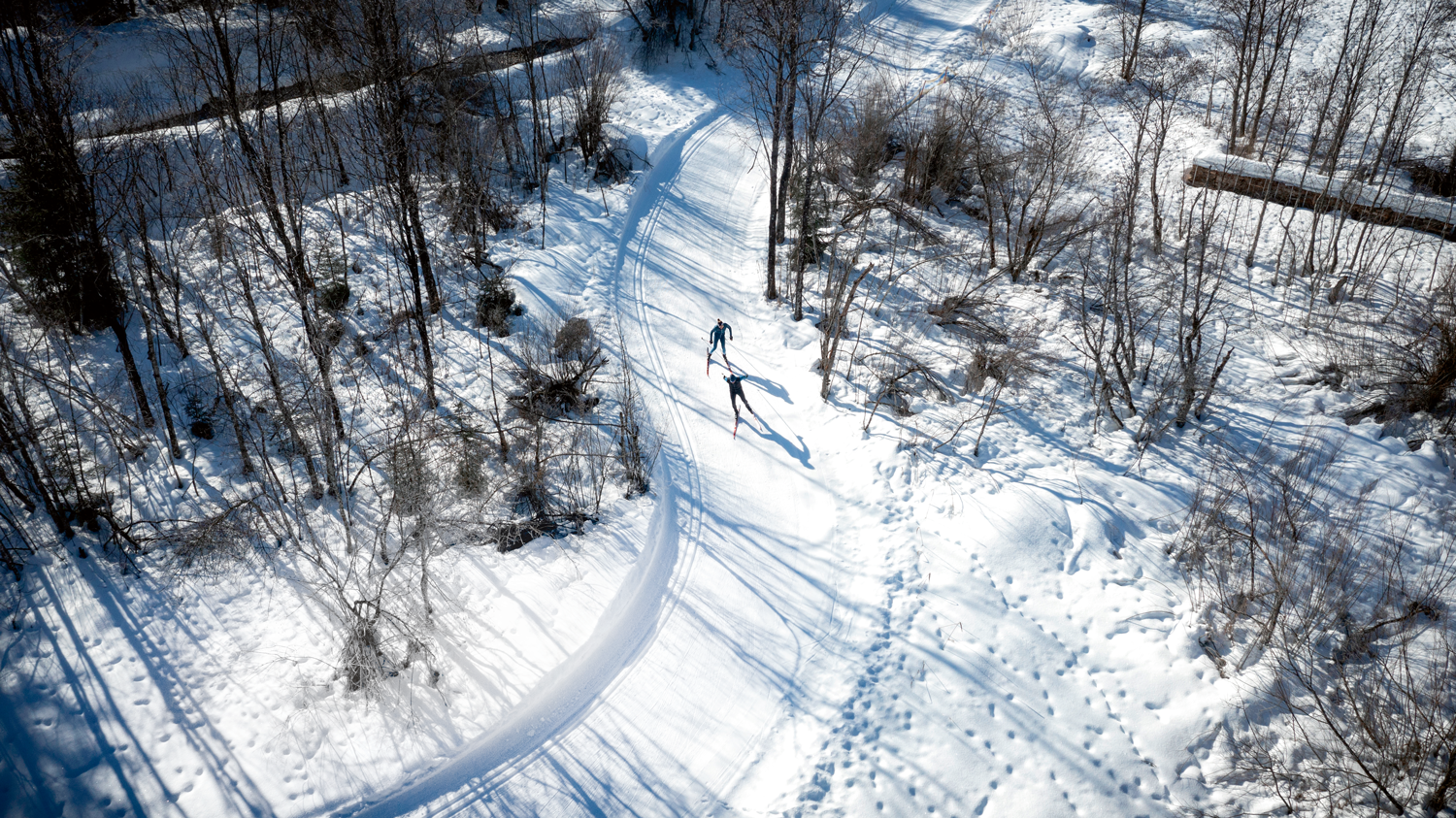 Urlaub in der Spur: Was Urlaubsgäste in Langlauf-Regionen erwarten können