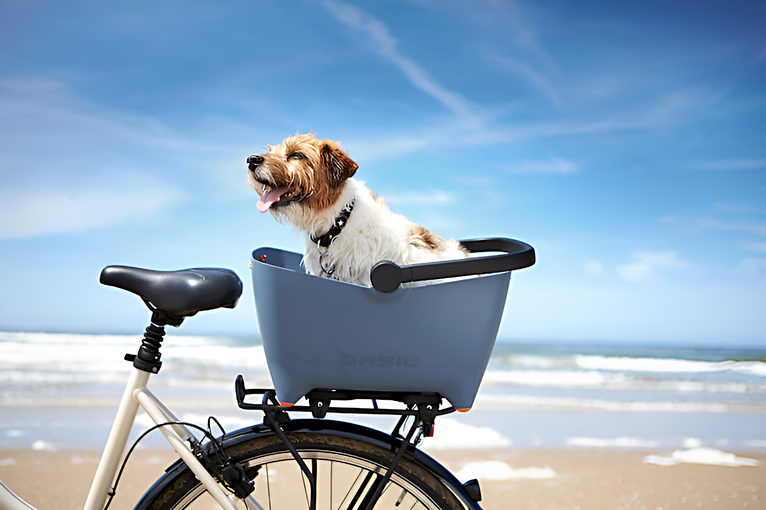 Basil Buddy: Mit Hund auf Fahrradtour