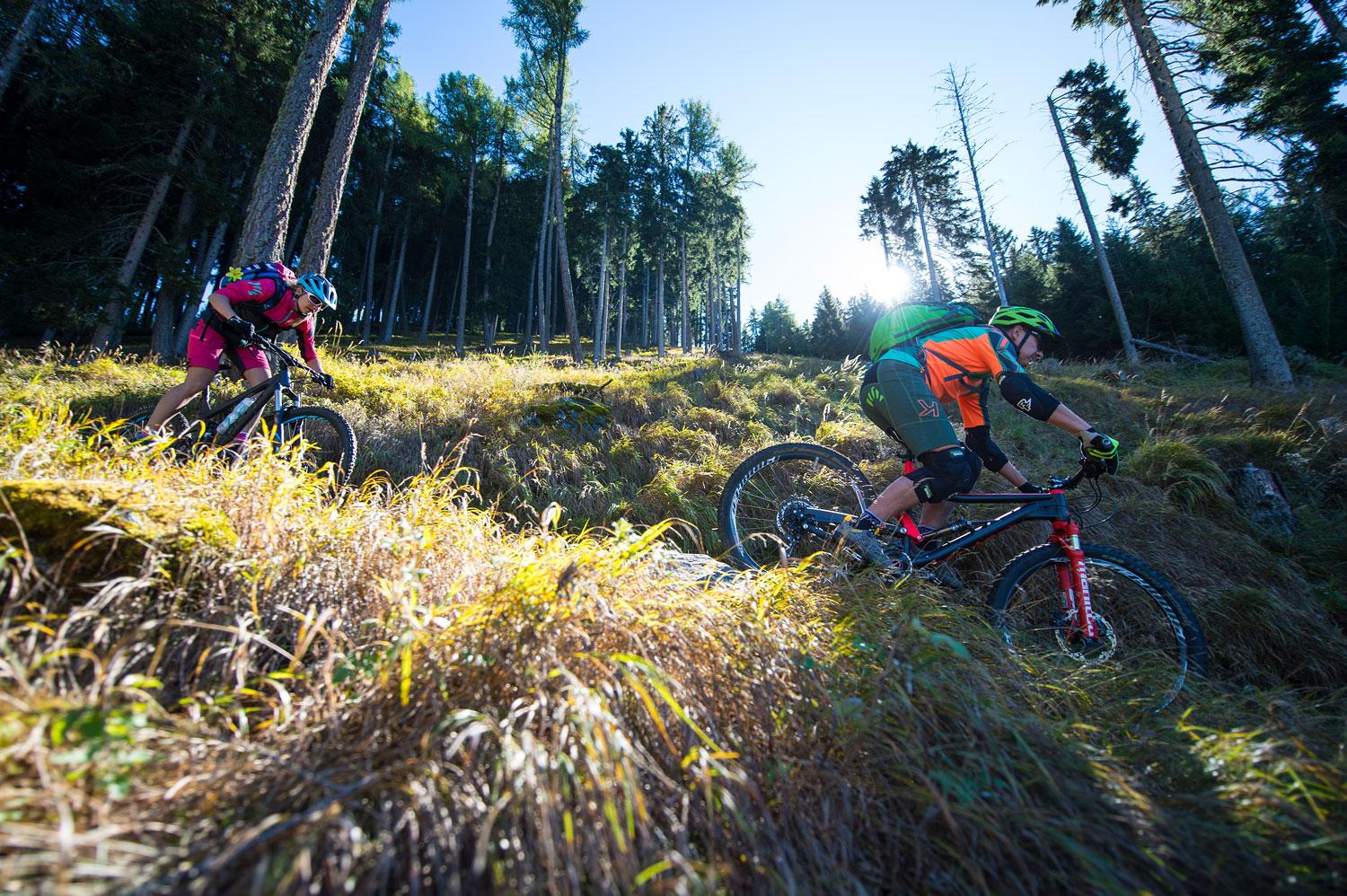 Top 20 MTB-Traumtrails 2023