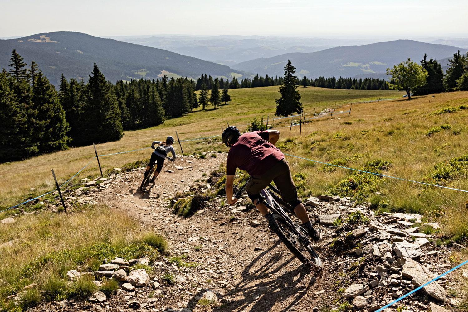 Top 20 MTB-Traumtrails 2023