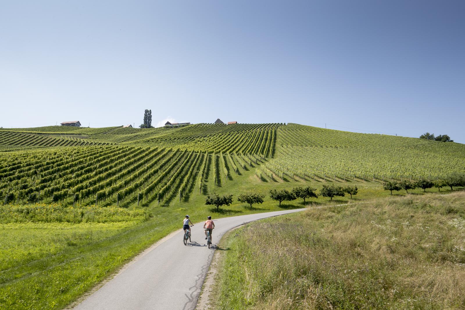 Südsteiermark: Grünes Paradies für Biker