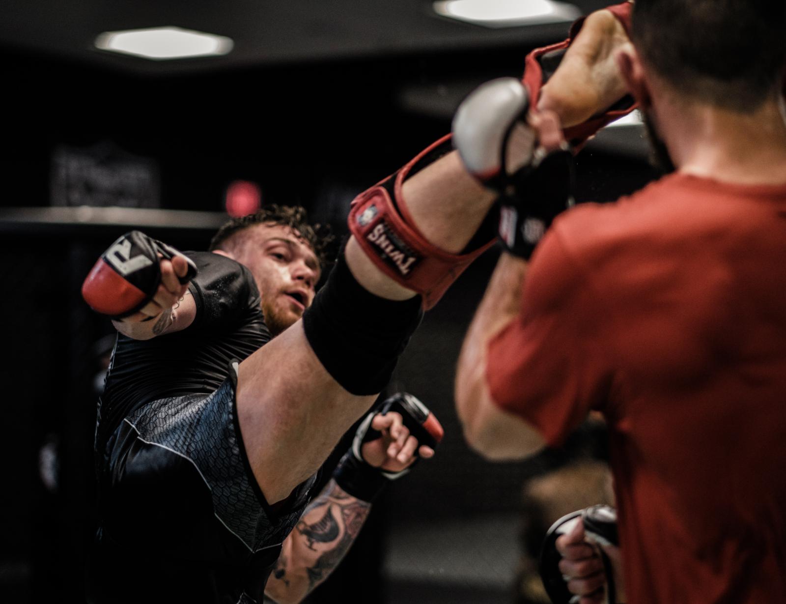 Mixed Martial Arts - Der Hype um den Profisport