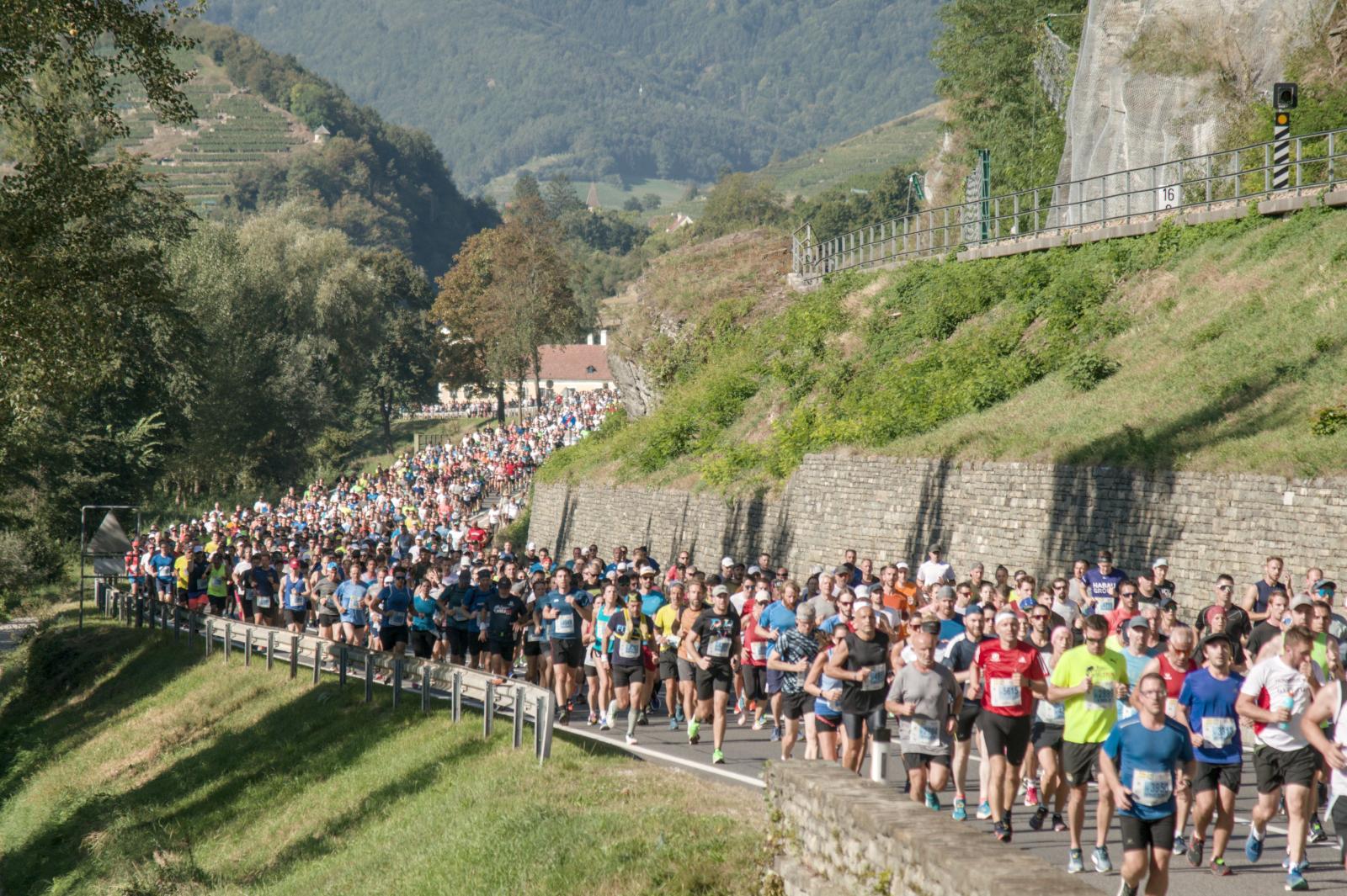 Hochsommerliches Lauffest: Das war der 24. Internationale WACHAUmarathon!