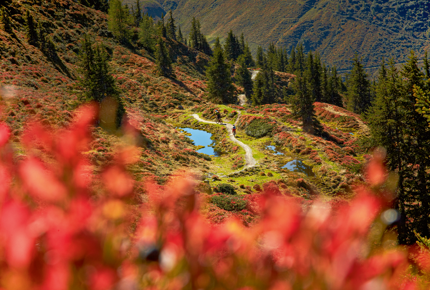 Kurze Tage, lange Schatten: Experten-Tipps und Ratschläge für gelungene herbstliche Bike-Touren
