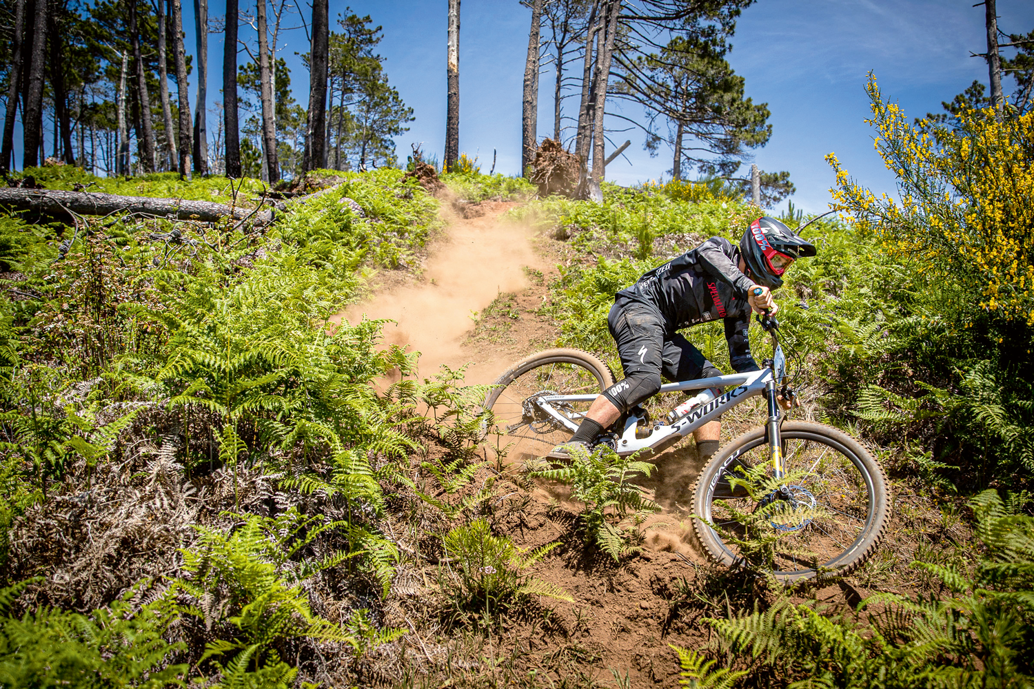 Die Essenz des Bergrads: Woher Enduro-MTBs ­kommen und wer damit glücklich wird